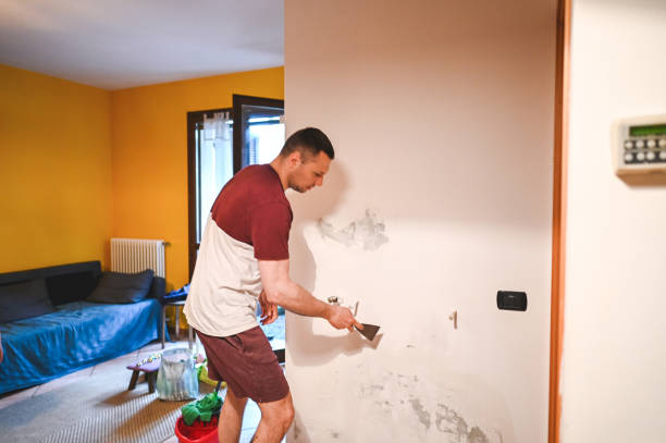 Best Black Mold Removal  in Pearl Beach, MI